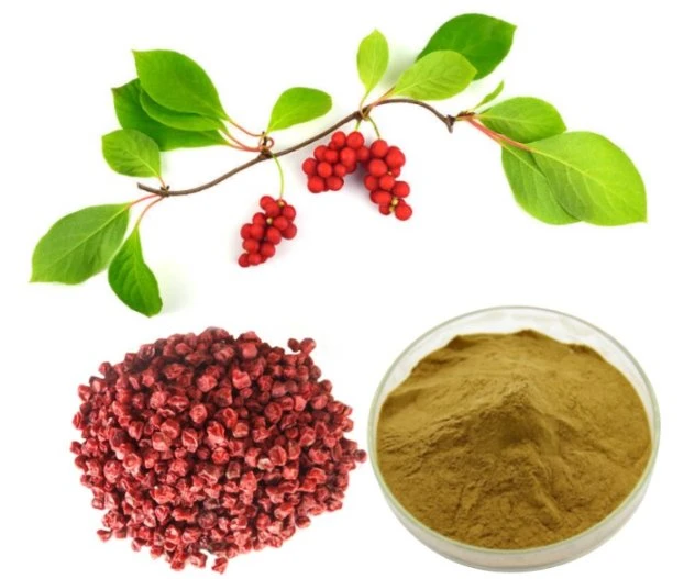 schisandra extract powder suppliers